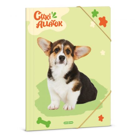 Ars Una Cuki Állatok-Welsh Corgi A/4 gumis dosszié